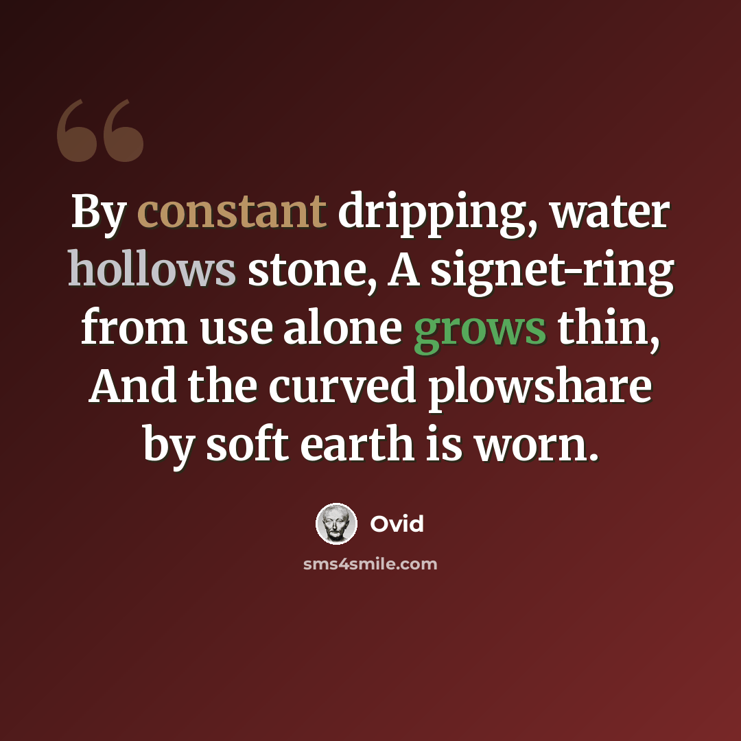 “By constant dripping, water hollows stone, A signet-ring from use alone grows thin, And the curved plowshare by soft earth is worn.” quote by Ovid