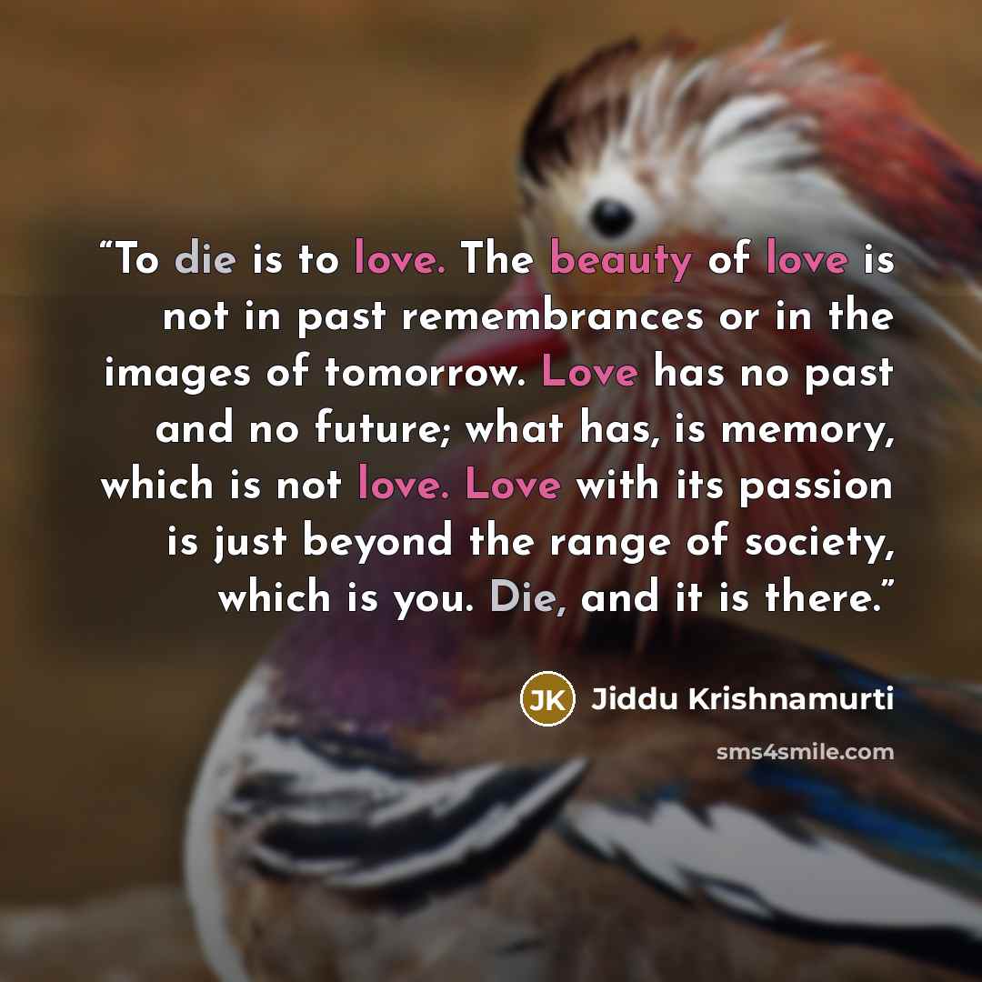 “To die is to love. The beauty of love is not in past remembrances or in the images of tomorrow. Love has no past and no future; what has, is memory, which is not love. Love with its passion is just beyond the range of society, which is you. Die, and it is there.” quote by Jiddu Krishnamurti