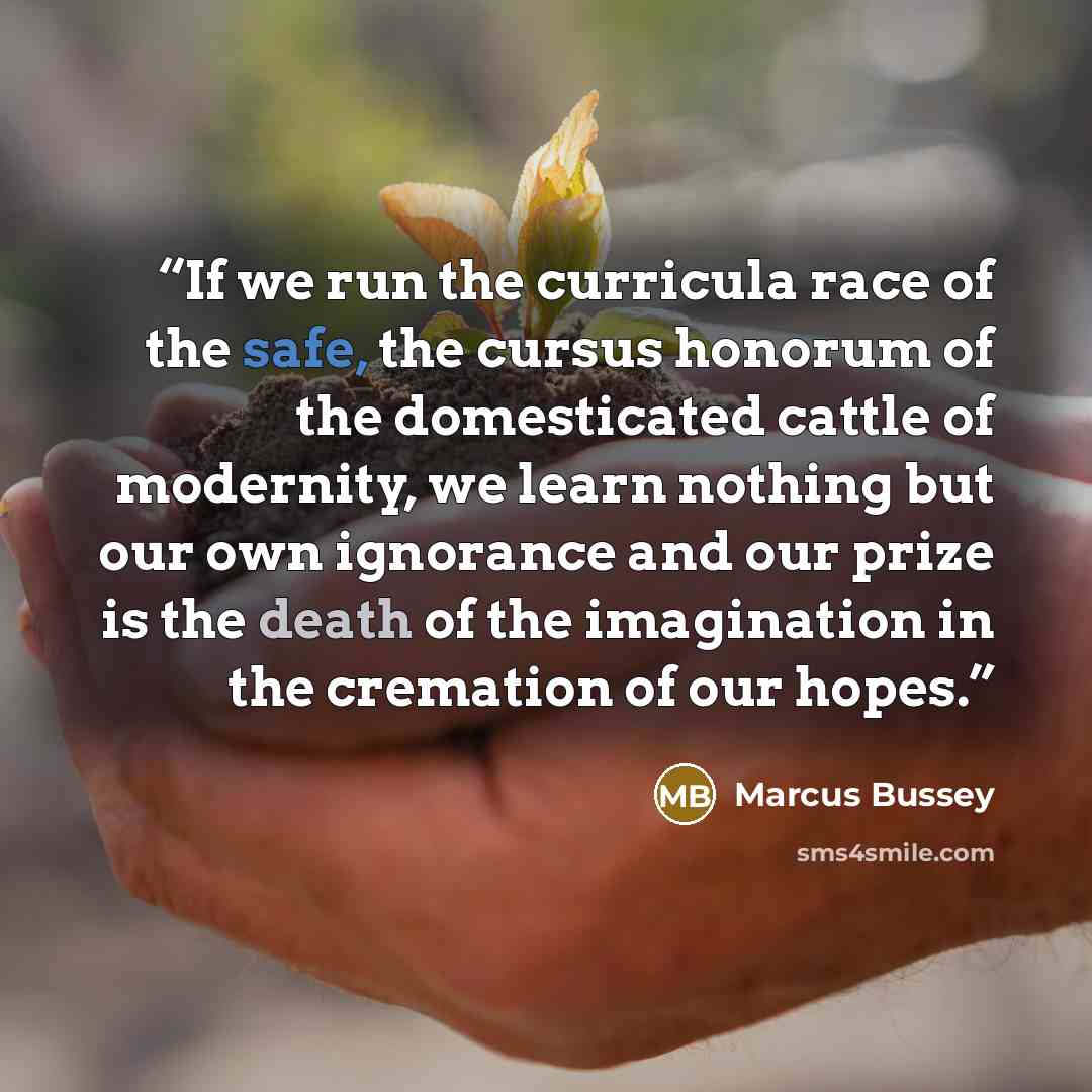 “If we run the curricula race of the safe, the cursus honorum of the domesticated cattle of modernity, we learn nothing but our own ignorance and our prize is the death of the imagination in the cremation of our hopes.” quote by Marcus Bussey