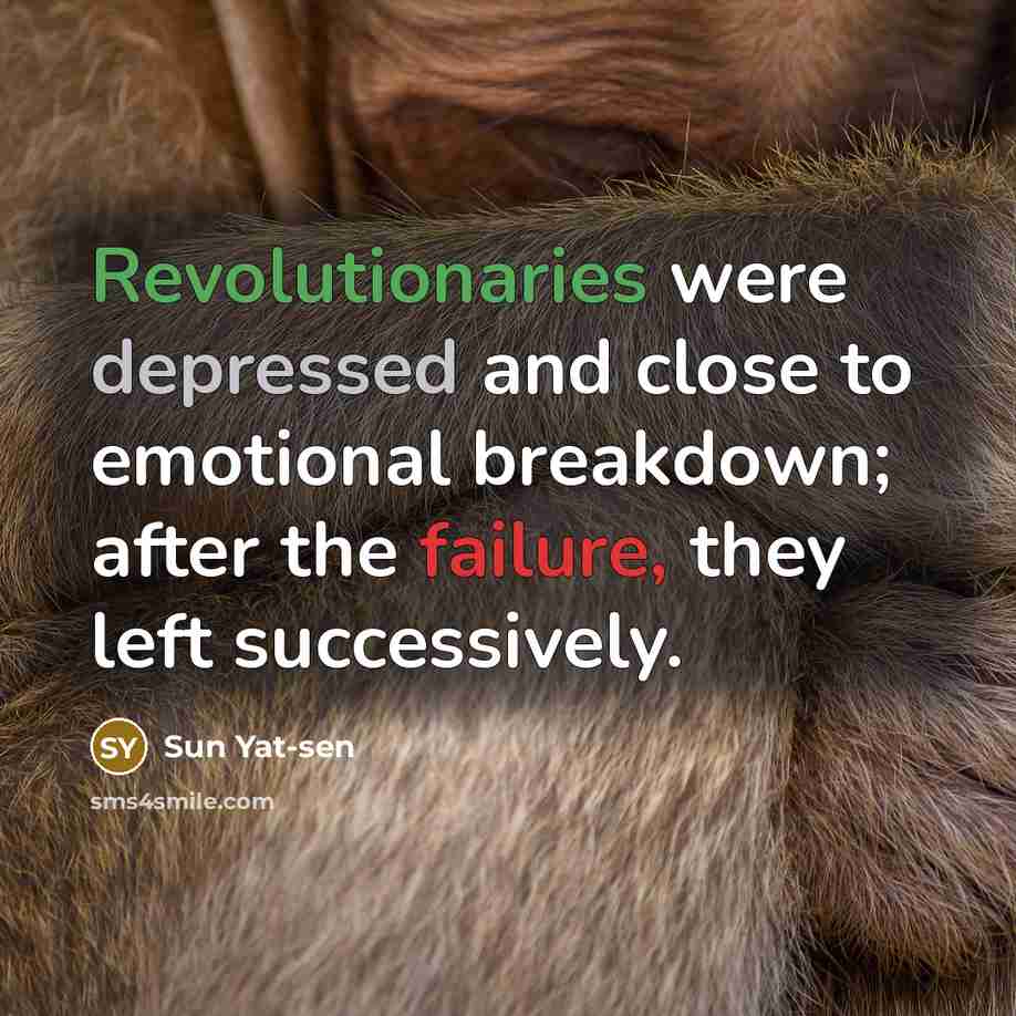 “Revolutionaries were depressed and close to emotional breakdown; after the failure, they left successively.” quote by Sun Yat-sen