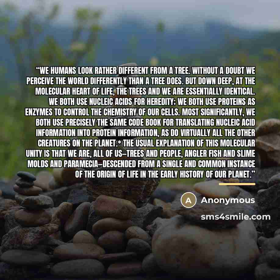 “We humans look rather different from a tree. Without a doubt we perceive the world differently than a tree does. But down deep, at the molecular heart of life, the trees and we are essentially identical. We both use nucleic acids for heredity; we both use proteins as enzymes to control the…” quote by Anonymous