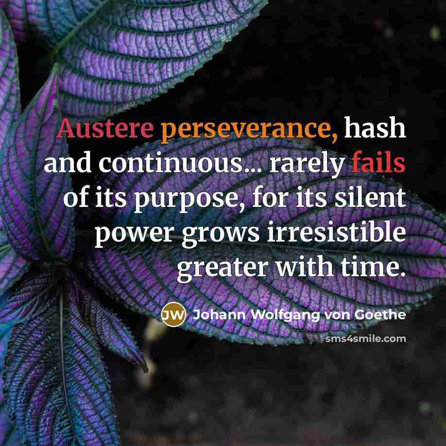 “Austere perseverance, hash and continuous... rarely fails of its purpose, for its silent power grows irresistible greater with time.” quote by Johann Wolfgang von Goethe