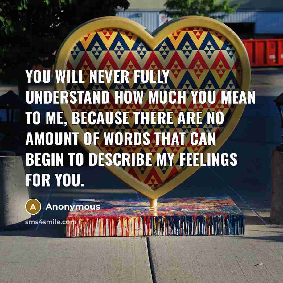 “You will never fully understand how much you mean to me, because there are no amount of words that can begin to describe my feelings for you.” quote by Anonymous