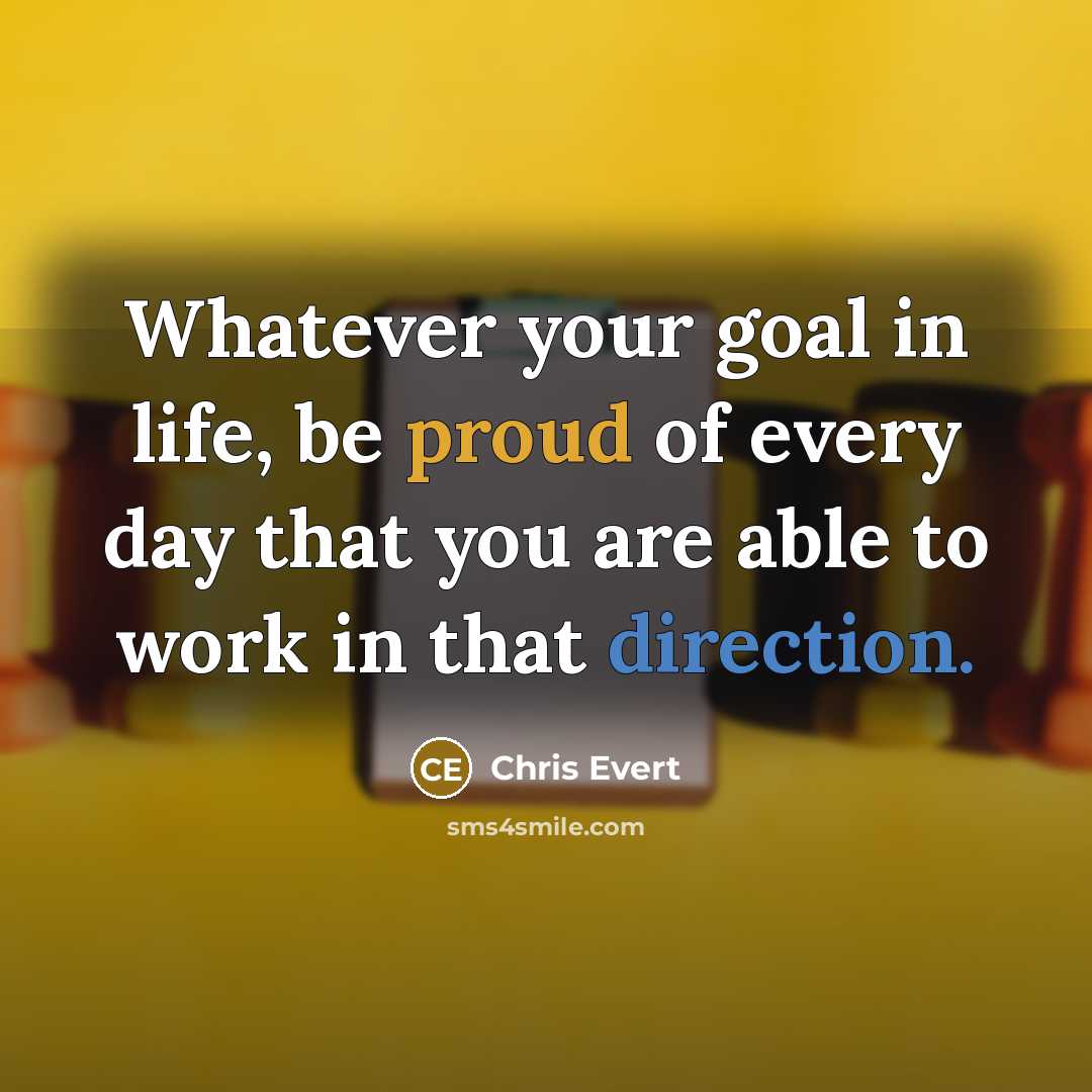 “Whatever your goal in life, be proud of every day that you are able to work in that direction.” quote by Chris Evert