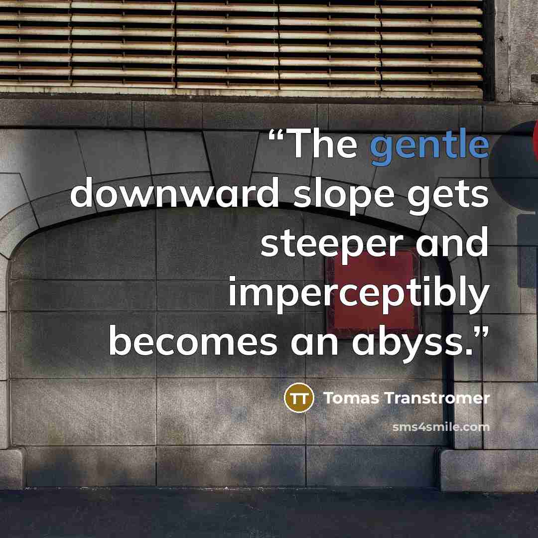 “The gentle downward slope gets steeper and imperceptibly becomes an abyss.” quote by Tomas Tranströmer