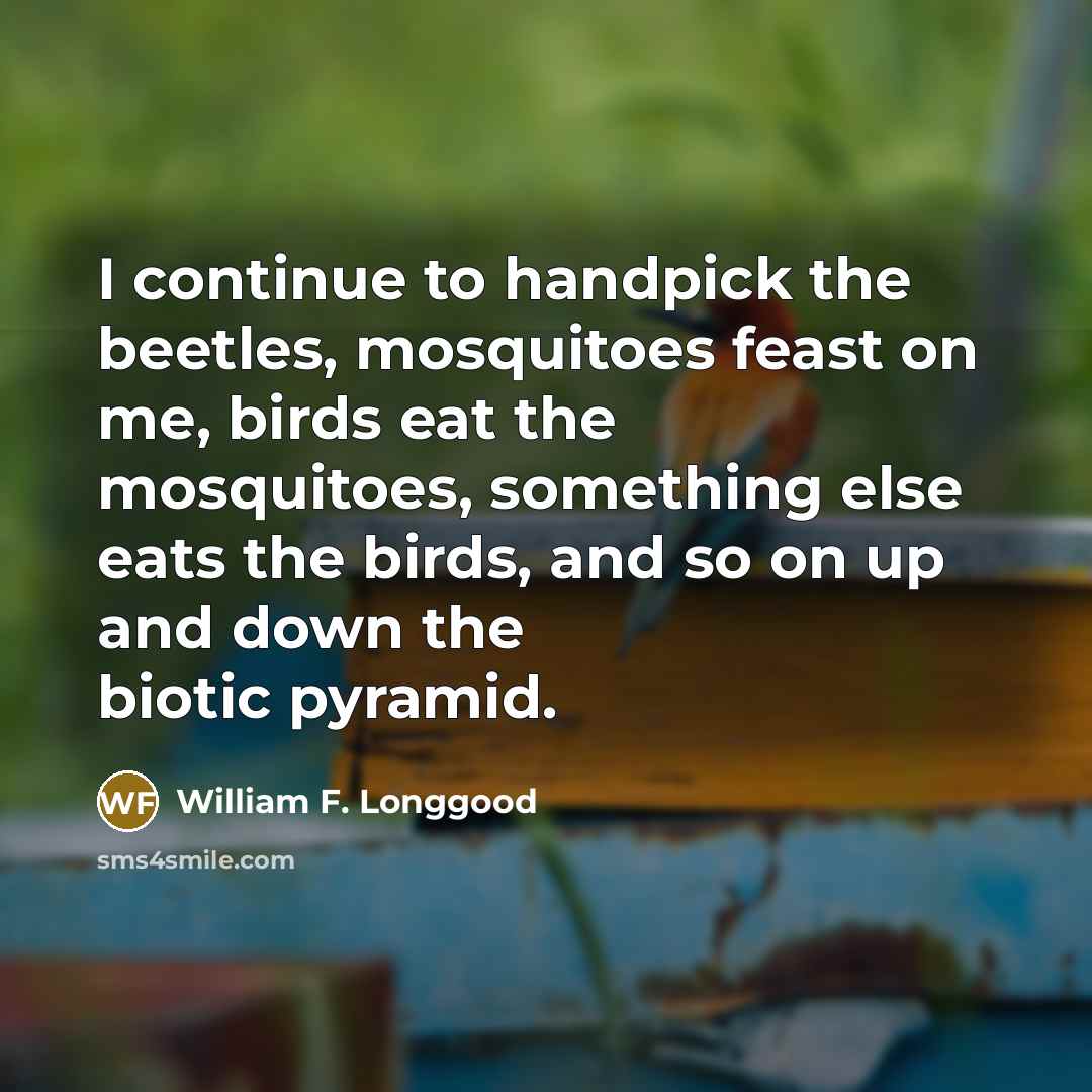 “I continue to handpick the beetles, mosquitoes feast on me, birds eat the mosquitoes, something else eats the birds, and so on up and down the biotic pyramid.” quote by William F. Longgood