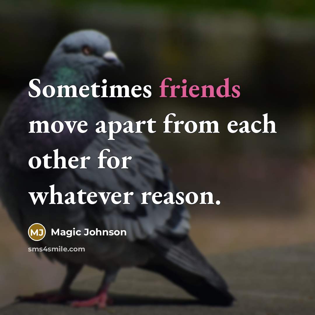 “Sometimes friends move apart from each other for whatever reason.” quote by Magic Johnson