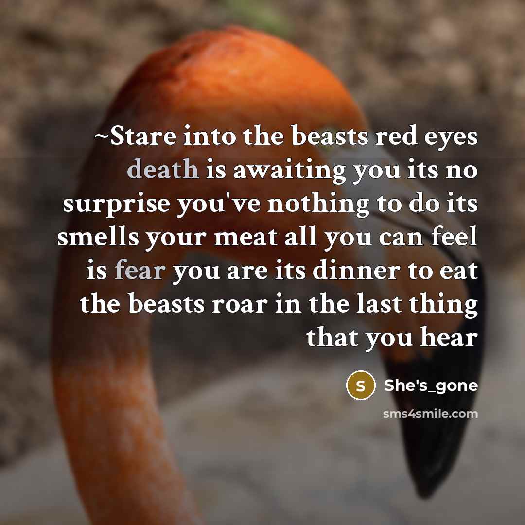 “~Stare into the beasts red eyes death is awaiting you its no surprise you've nothing to do its smells your meat all you can feel is fear you are its dinner to eat the beasts roar in the last thing that you hear” quote by She's_gone