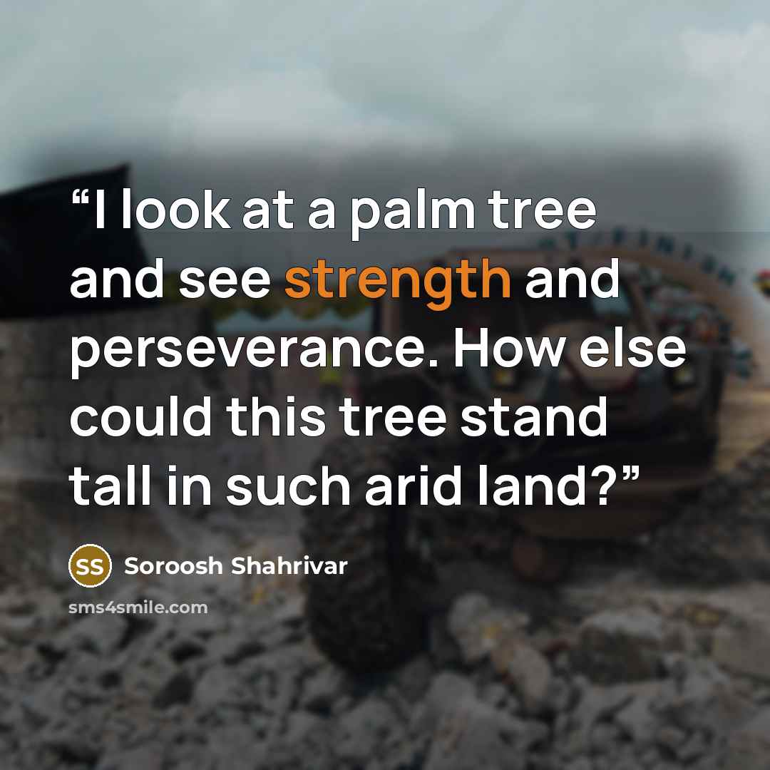 “I look at a palm tree and see strength and perseverance. How else could this tree stand tall in such arid land?” quote by Soroosh Shahrivar