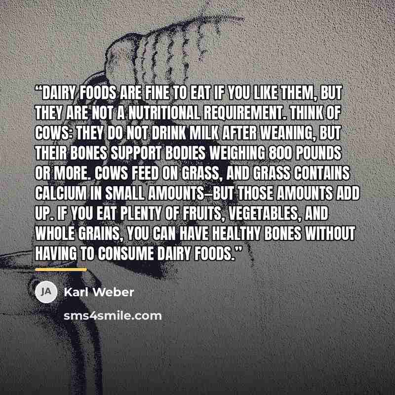 “dairy foods are fine to eat if you like them, but they are not a nutritional requirement. Think of cows: they do not drink milk after weaning, but their bones support bodies weighing 800 pounds or more. Cows feed on grass, and grass contains calcium in small amounts—but those amounts add up. If…” quote by Karl Weber