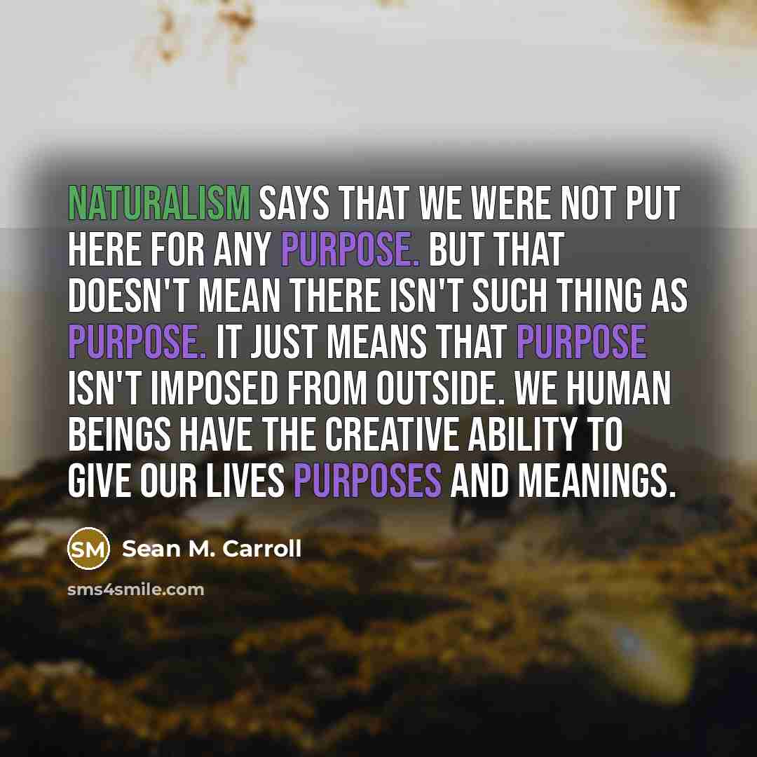 “Naturalism says that we were not put here for any purpose. But that doesn't mean there isn't such thing as purpose. It just means that purpose isn't imposed from outside. We human beings have the creative ability to give our lives purposes and meanings.” quote by Sean M. Carroll