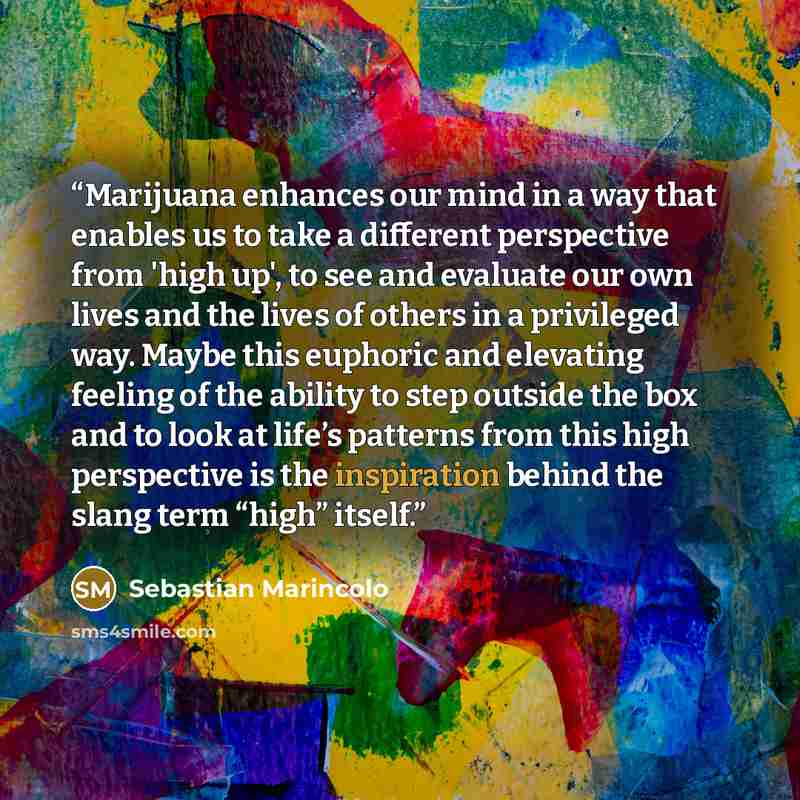 “Marijuana enhances our mind in a way that enables us to take a different perspective from 'high up', to see and evaluate our own lives and the lives of others in a privileged way. Maybe this euphoric and elevating feeling of the ability to step outside the box and to look at life’s patterns from…” quote by Sebastian Marincolo