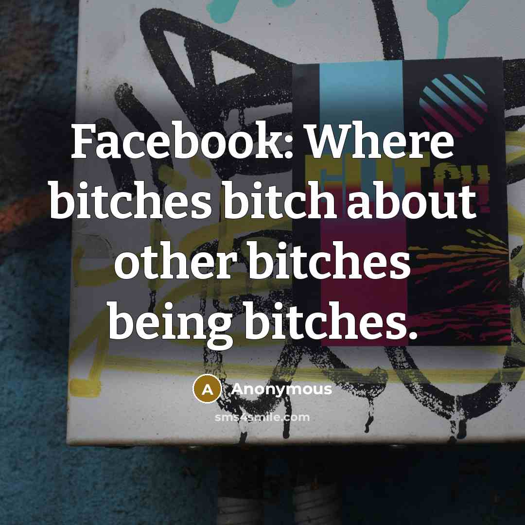 “Facebook: Where bitches bitch about other bitches being bitches.” quote by Anonymous