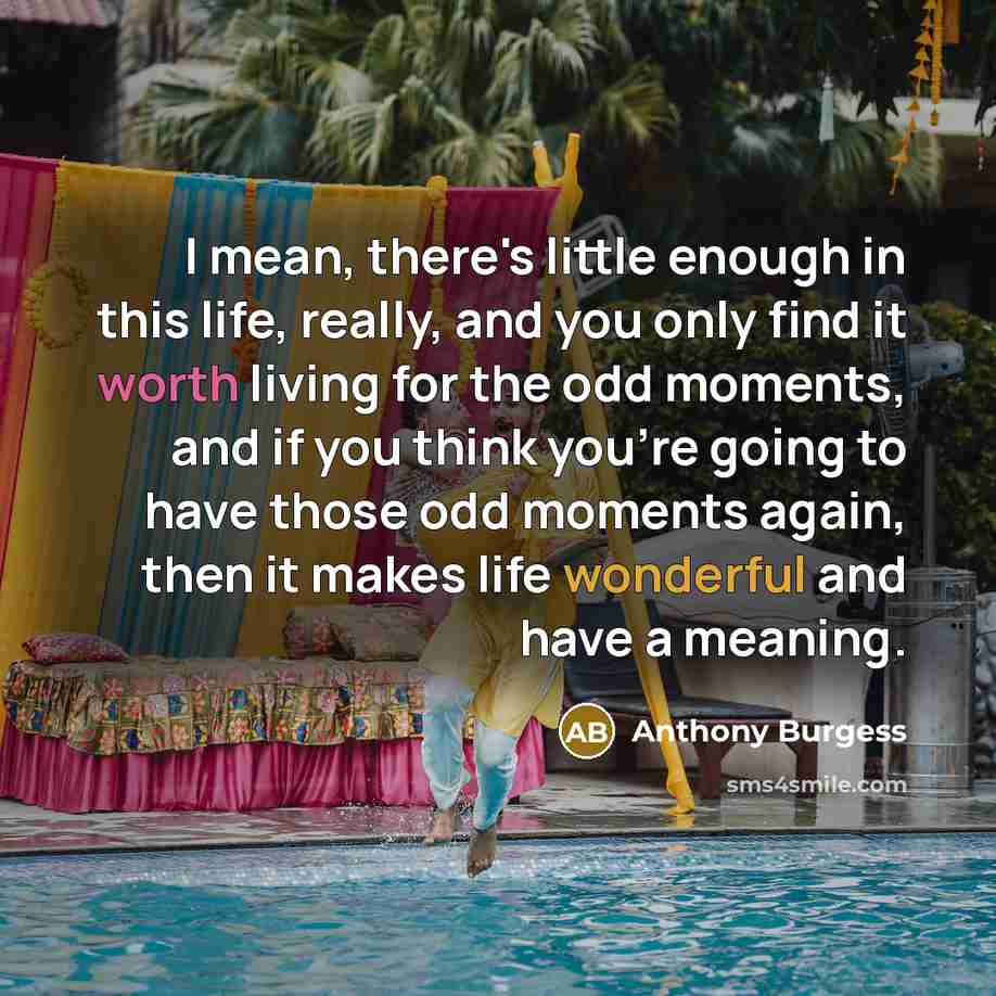“I mean, there's little enough in this life, really, and you only find it worth living for the odd moments, and if you think you're going to have those odd moments again, then it makes life wonderful and have a meaning.” quote by Anthony Burgess