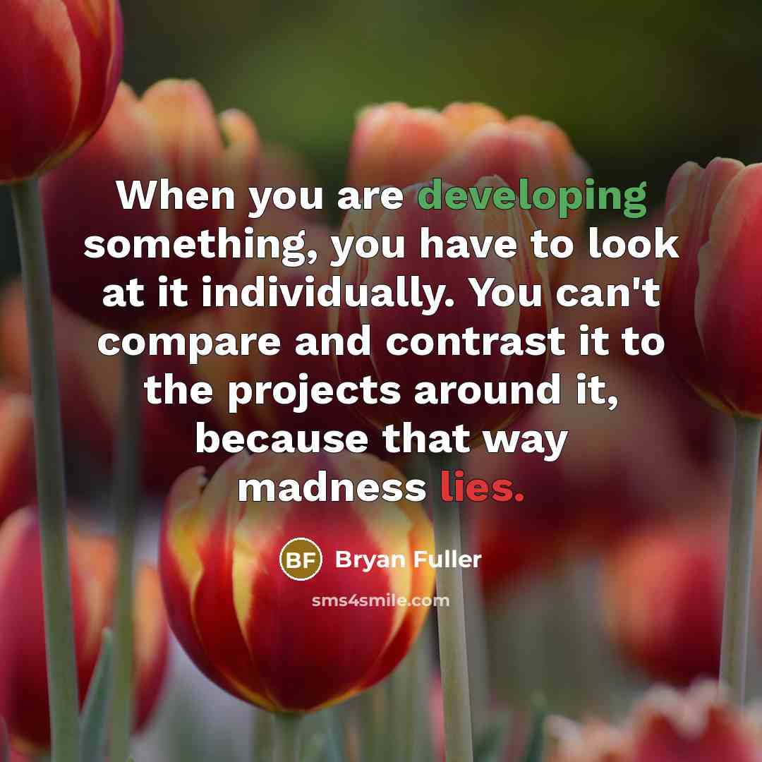 “When you are developing something, you have to look at it individually. You can't compare and contrast it to the projects around it, because that way madness lies.” quote by Bryan Fuller