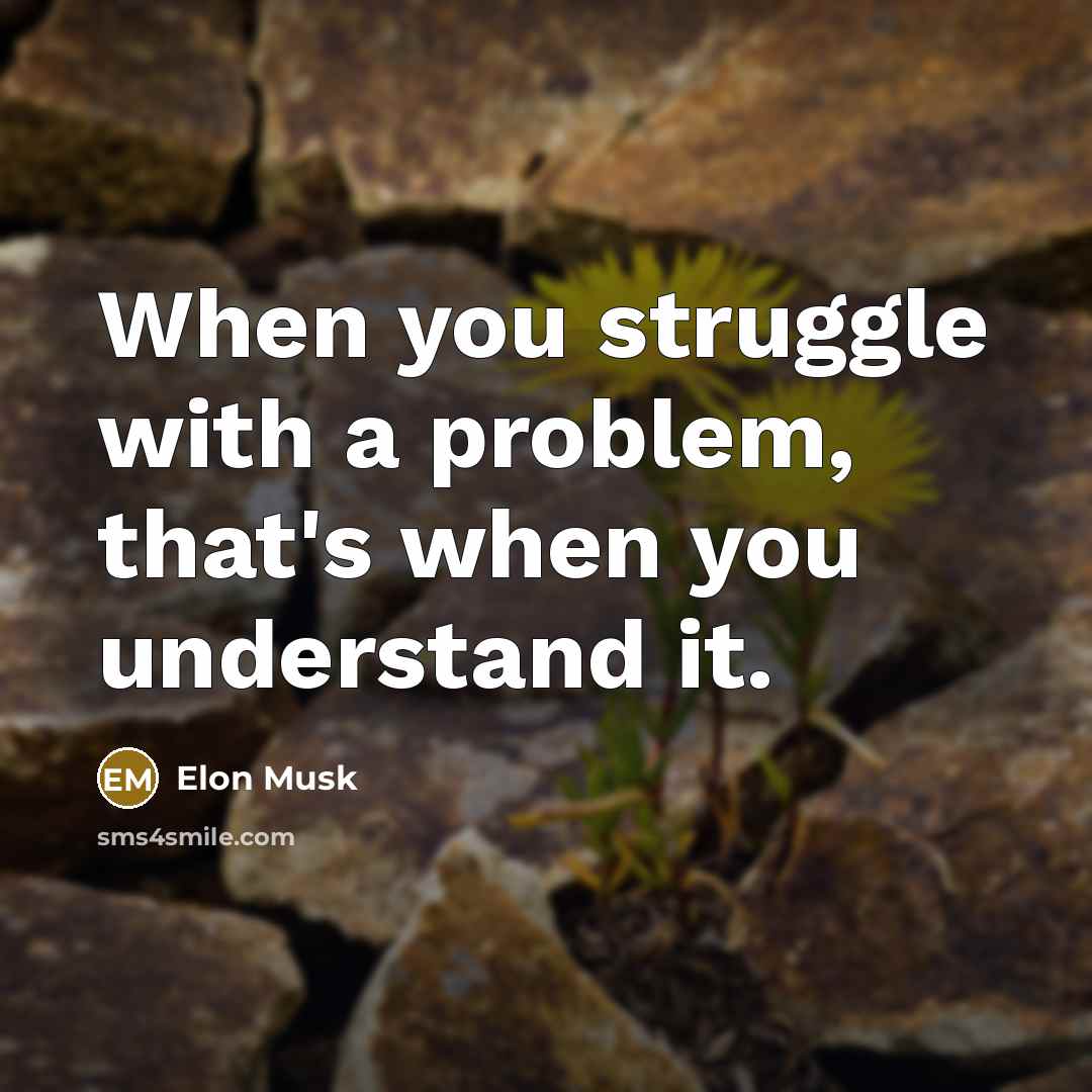 “When you struggle with a problem, that's when you understand it.” quote by Elon Musk