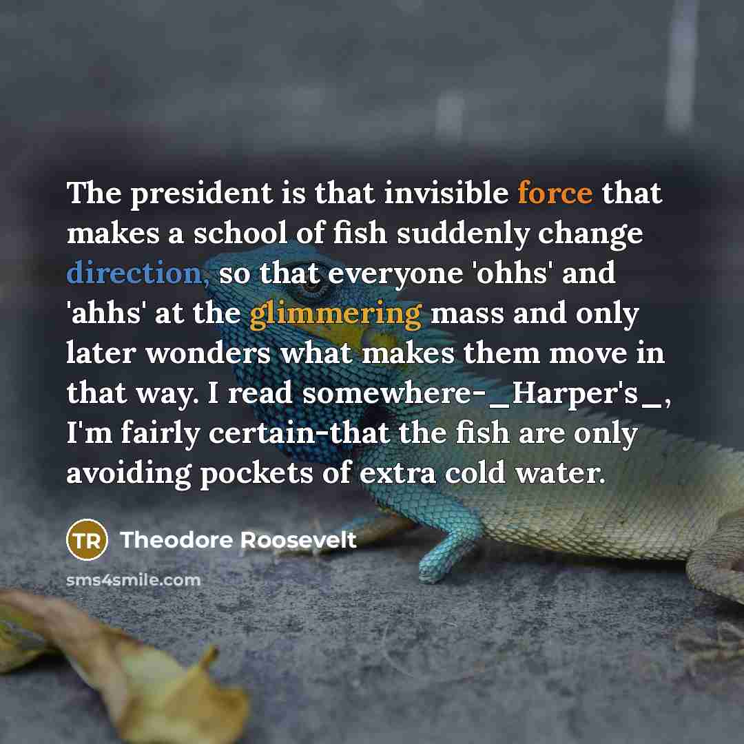“The president is that invisible force that makes a school of fish suddenly change direction, so that everyone 'ohhs' and 'ahhs' at the glimmering mass and only later wonders what makes them move in that way. I read somewhere-_Harper's_, I'm fairly certain-that the fish are only avoiding pockets of…” quote by Theodore Roosevelt