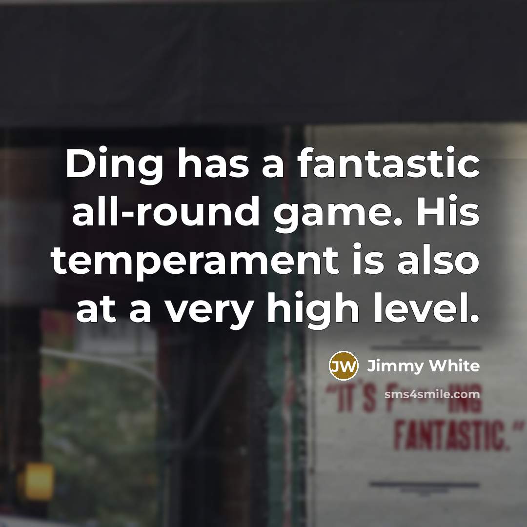 “Ding has a fantastic all-round game. His temperament is also at a very high level.” quote by Jimmy White