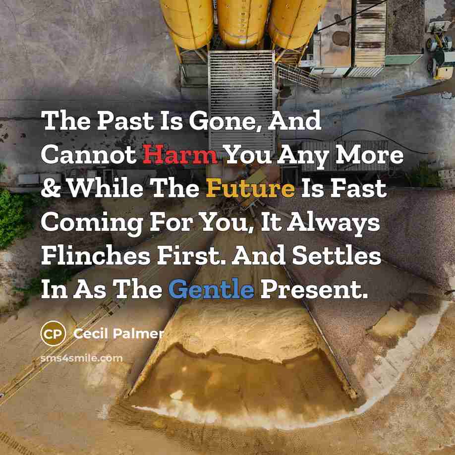 “The Past Is Gone, And Cannot Harm You Any More & While The Future Is Fast Coming For You, It Always Flinches First. And Settles In As The Gentle Present.” quote by Cecil Palmer