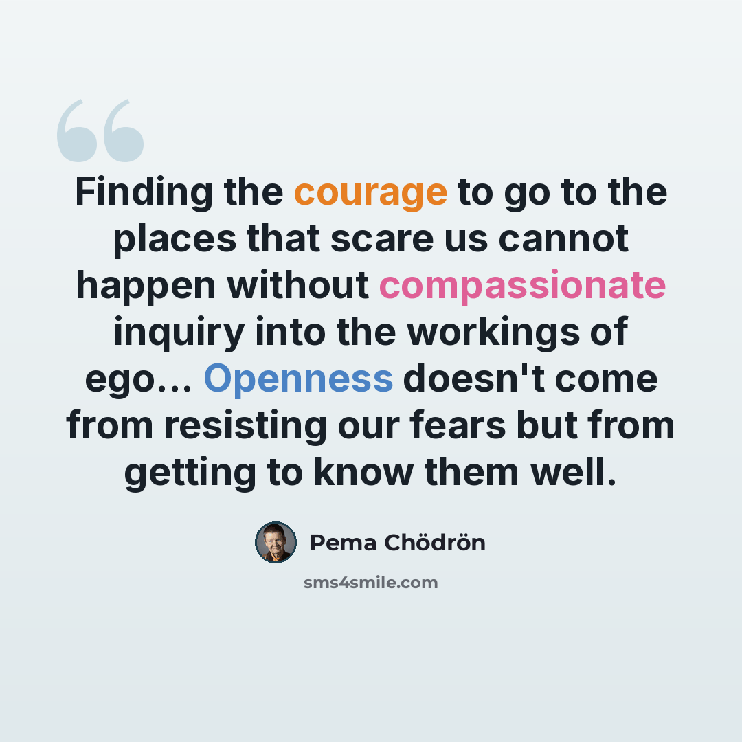 “Finding the courage to go to the places that scare us cannot happen without compassionate inquiry into the workings of ego... Openness doesn't come from resisting our fears but from getting to know them well.” quote by Pema Chodron