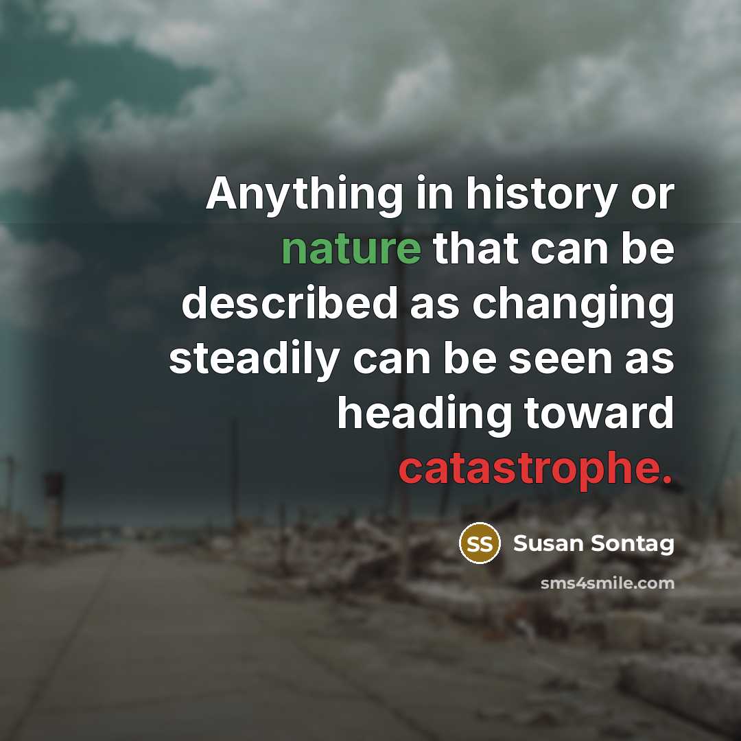 “Anything in history or nature that can be described as changing steadily can be seen as heading toward catastrophe.” quote by Susan Sontag