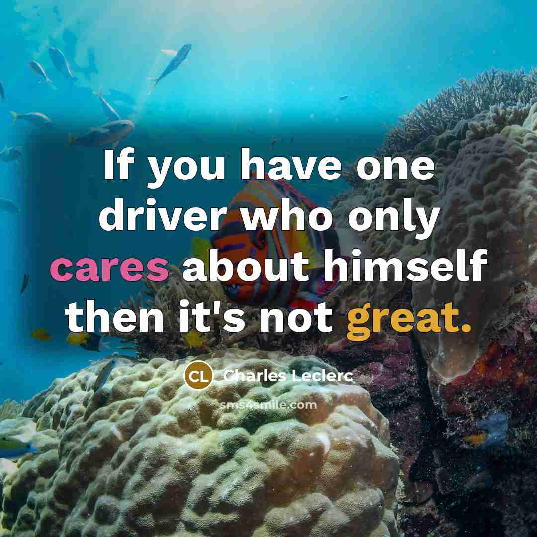 “If you have one driver who only cares about himself then it's not great.” quote by Charles Leclerc