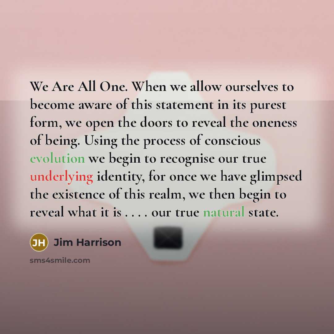 “We Are All One. When we allow ourselves to become aware of this statement in its purest form, we open the doors to reveal the oneness of being. Using the process of conscious evolution we begin to recognise our true underlying identity, for once we have glimpsed the existence of this realm, we…” quote by Jim Harrison