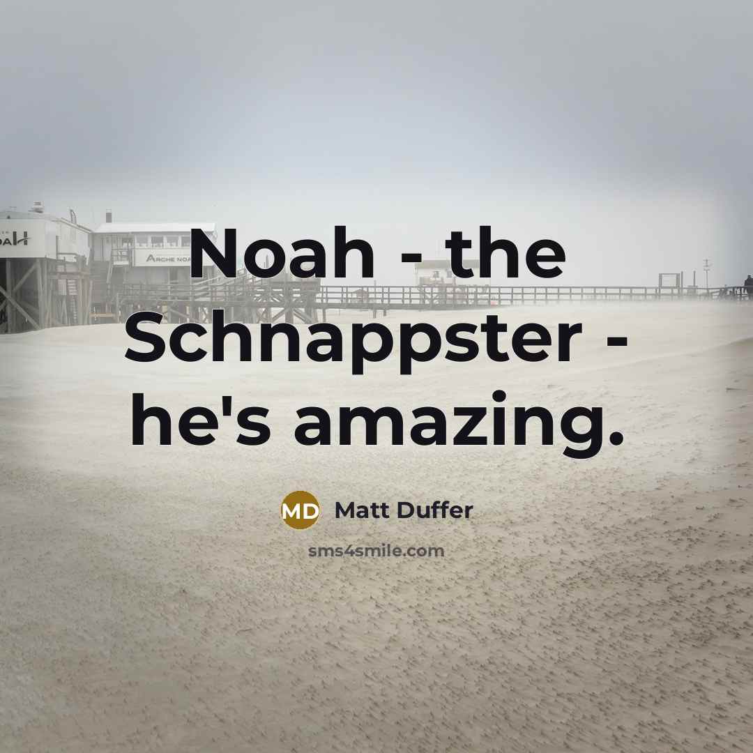 “Noah - the Schnappster - he's amazing.” quote by Matt Duffer