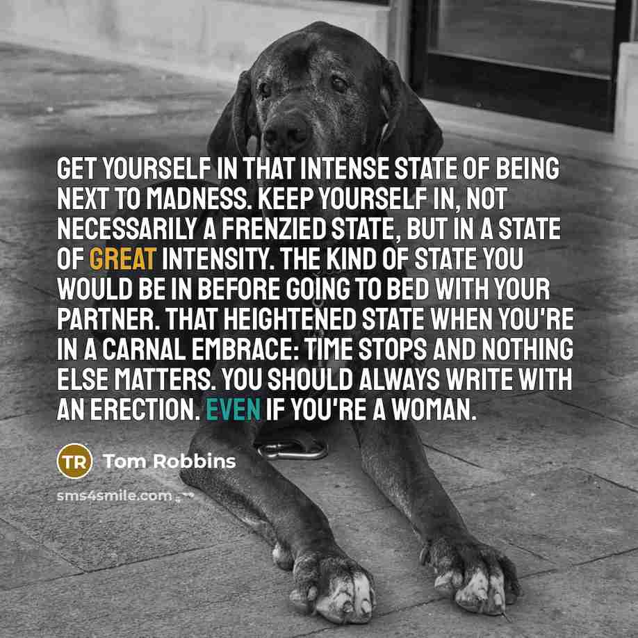 “Get yourself in that intense state of being next to madness. Keep yourself in, not necessarily a frenzied state, but in a state of great intensity. The kind of state you would be in before going to bed with your partner. That heightened state when you're in a carnal embrace: time stops and nothing…” quote by Tom Robbins