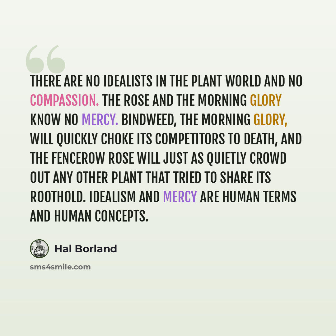“There are no idealists in the plant world and no compassion. The rose and the morning glory know no mercy. Bindweed, the morning glory, will quickly choke its competitors to death, and the fencerow rose will just as quietly crowd out any other plant that tried to share its roothold. Idealism and…” quote by Hal Borland