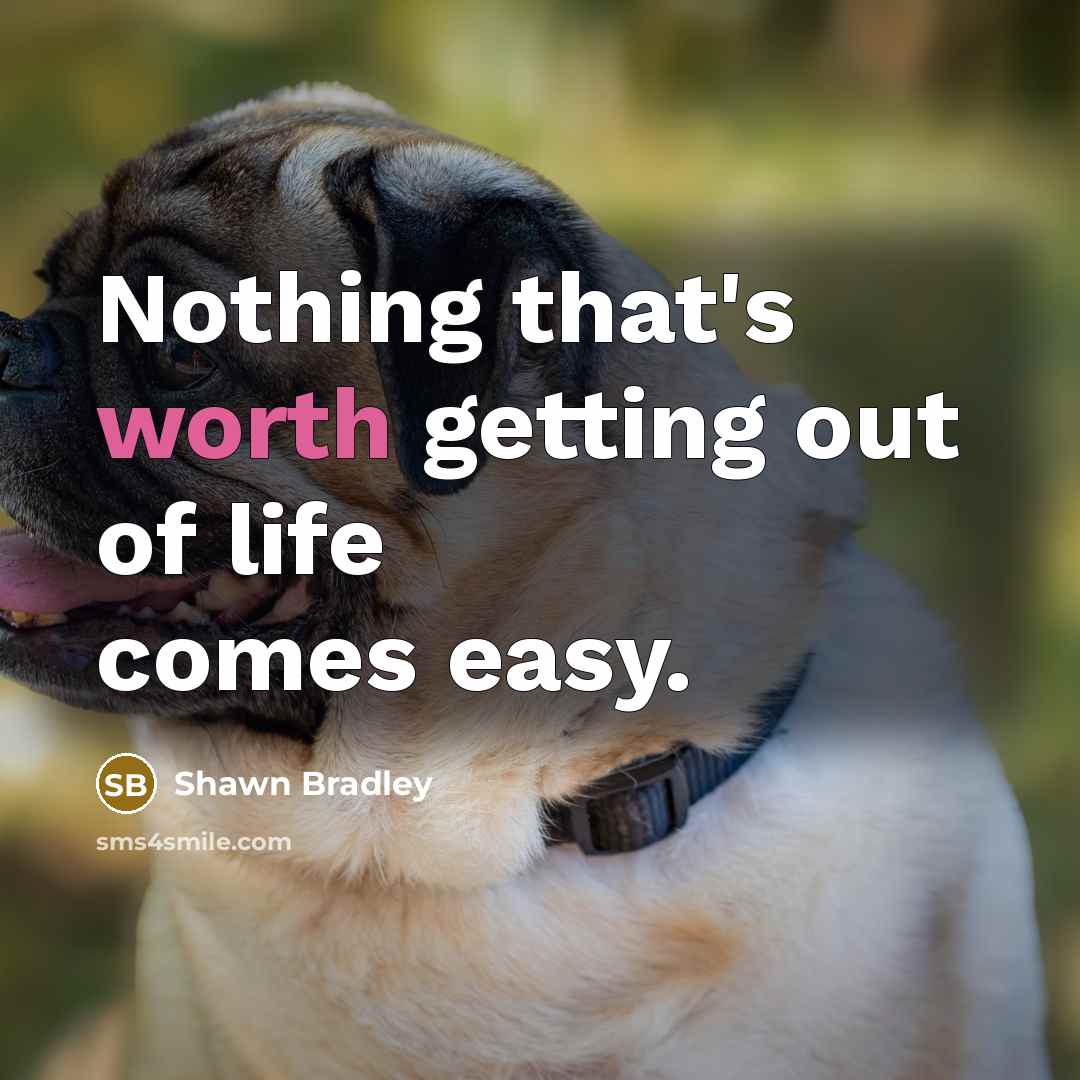“Nothing that's worth getting out of life comes easy.” quote by Shawn Bradley