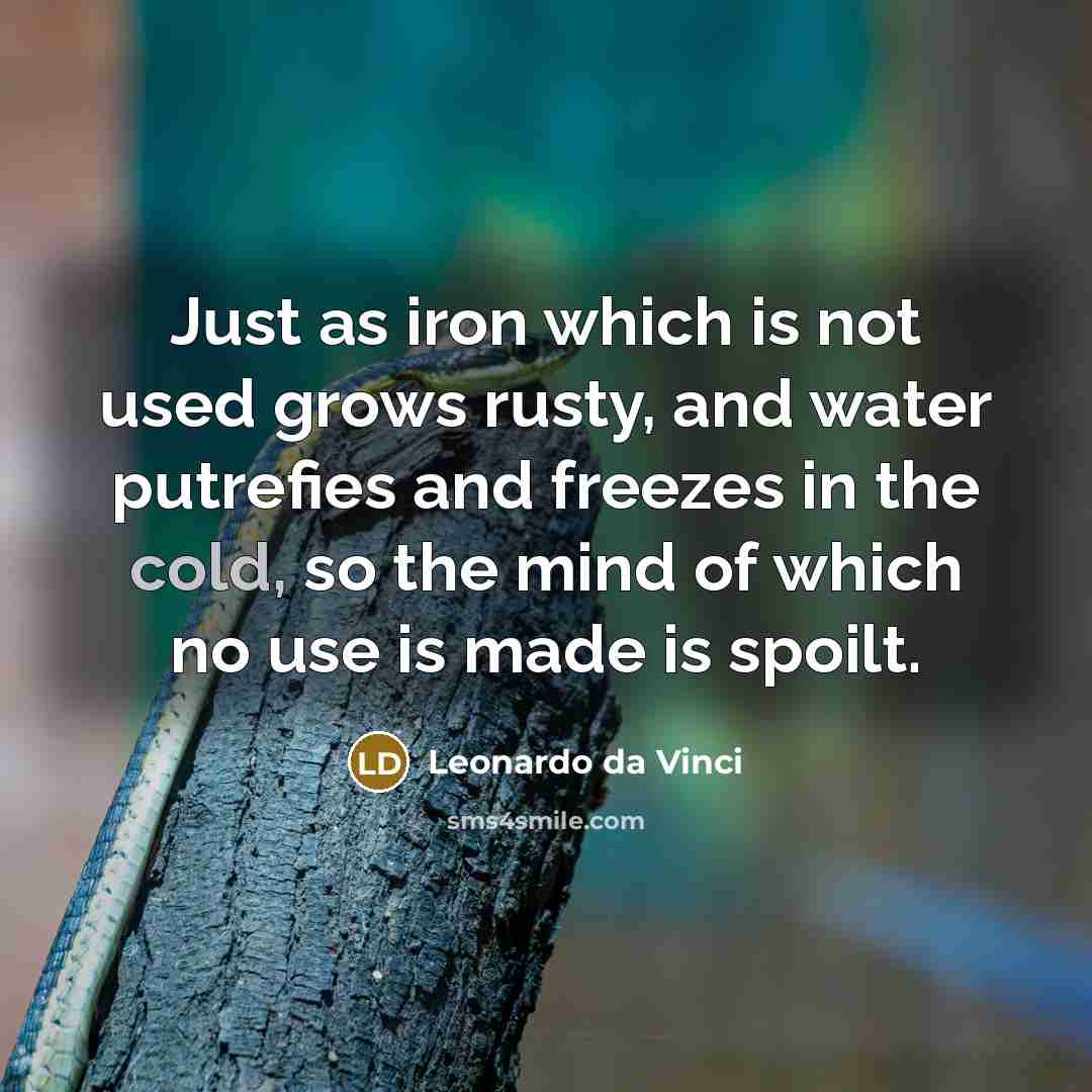 “Just as iron which is not used grows rusty, and water putrefies and freezes in the cold, so the mind of which no use is made is spoilt.” quote by Leonardo da Vinci