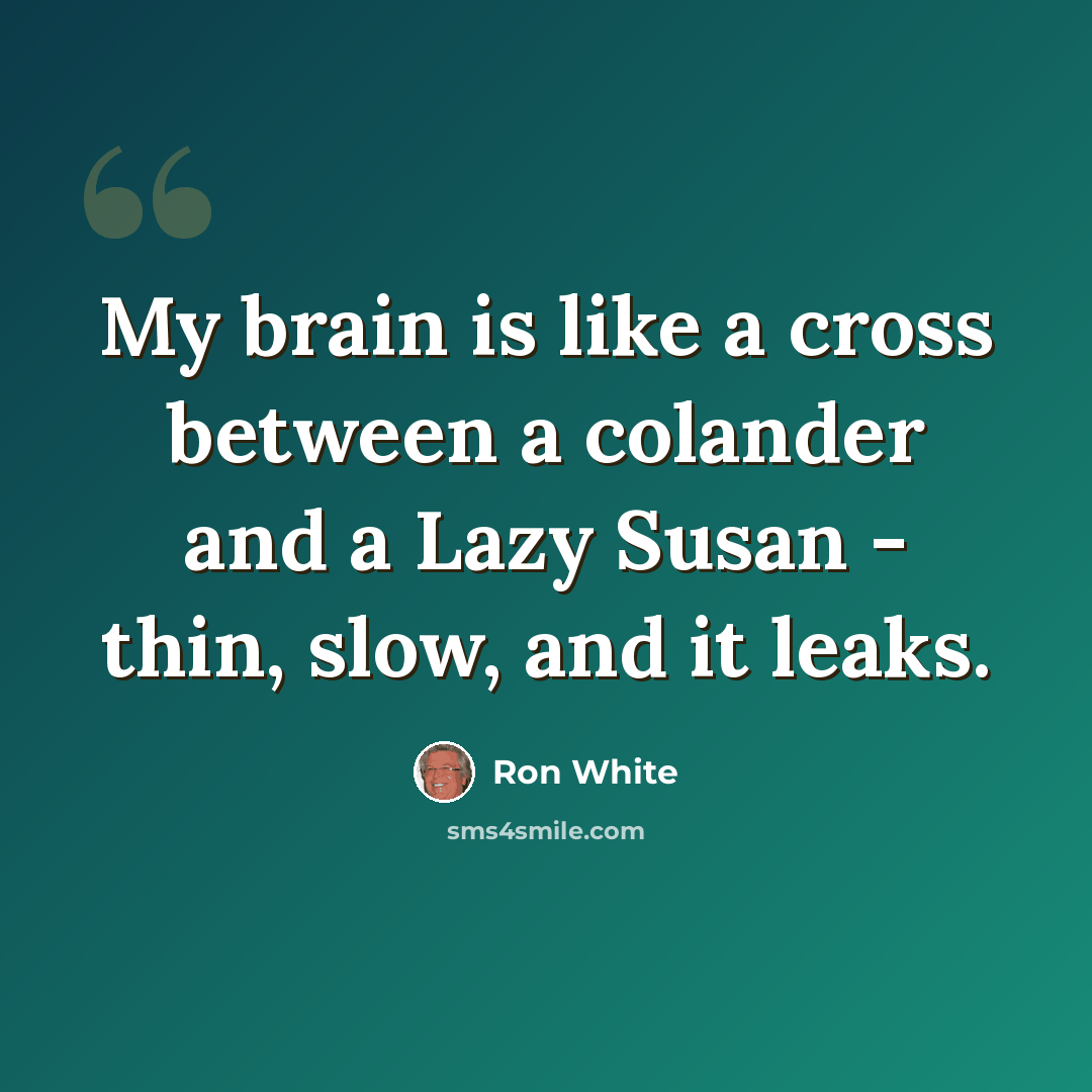 “My brain is like a cross between a colander and a Lazy Susan - thin, slow, and it leaks.” quote by Ron White