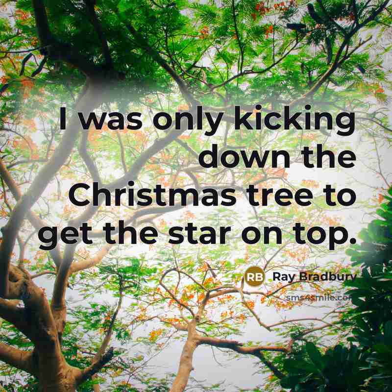 “I was only kicking down the Christmas tree to get the star on top.” quote by Ray Bradbury