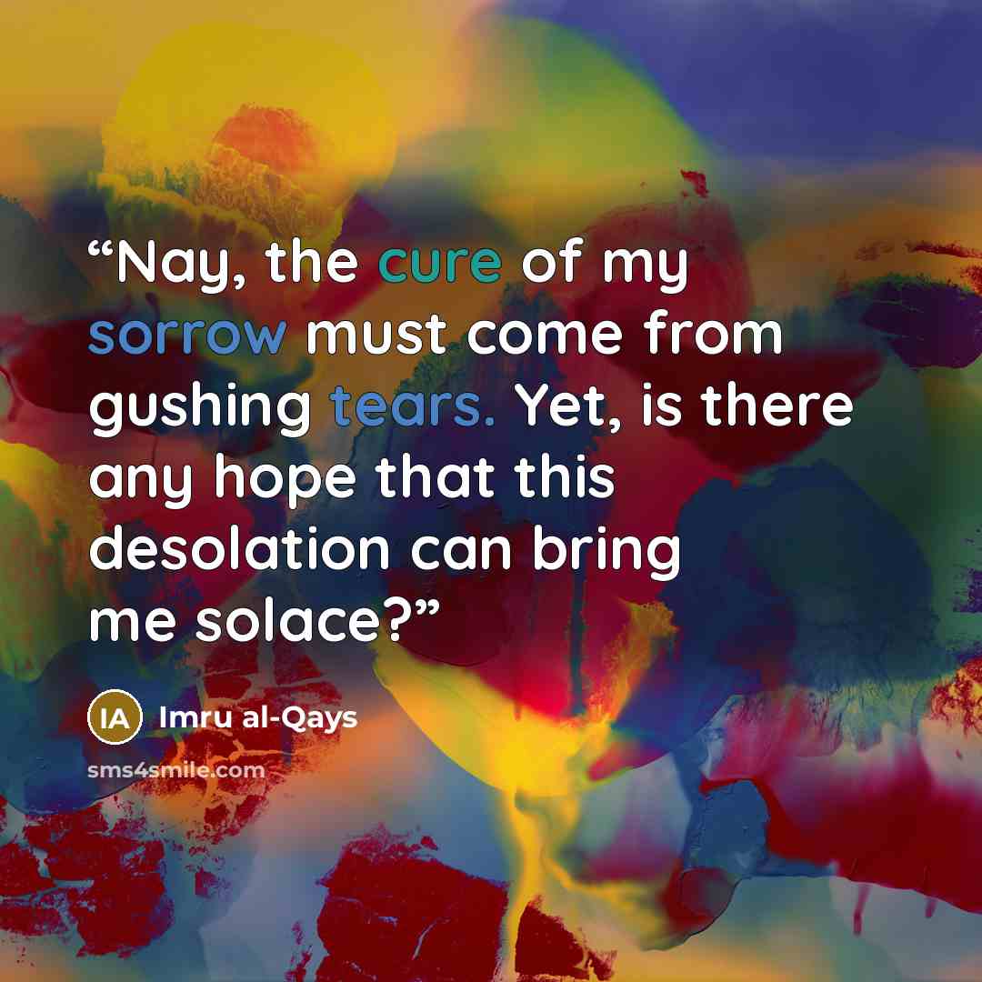 “Nay, the cure of my sorrow must come from gushing tears. Yet, is there any hope that this desolation can bring me solace?” quote by Imru al-Qays