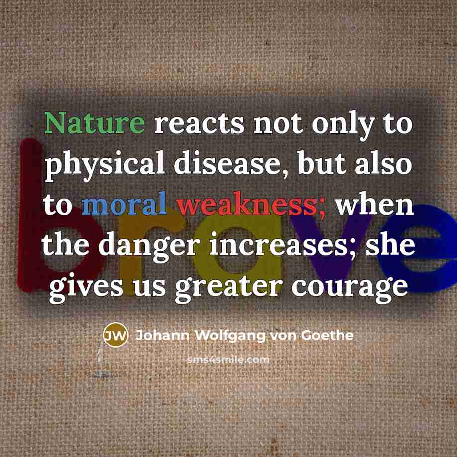 “Nature reacts not only to physical disease, but also to moral weakness; when the danger increases; she gives us greater courage” quote by Johann Wolfgang von Goethe