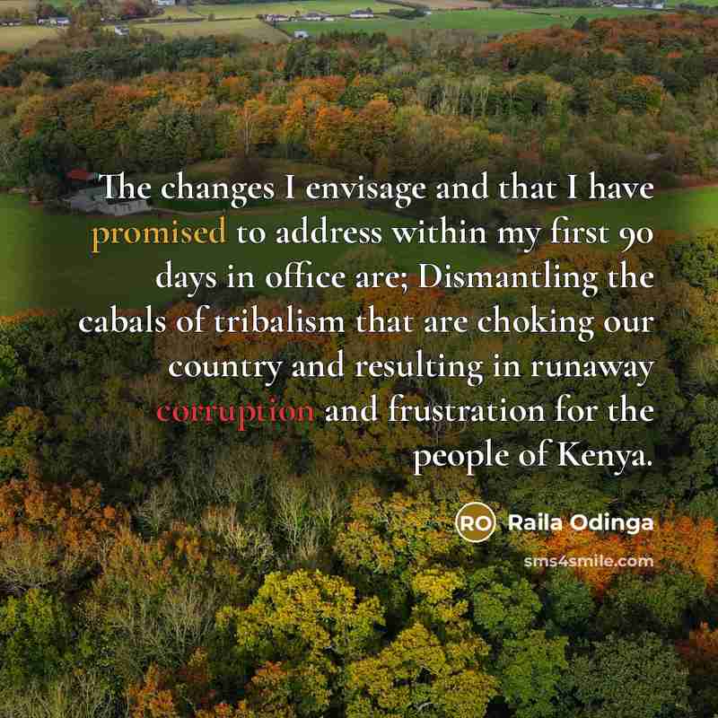 “The changes I envisage and that I have promised to address within my first 90 days in office are; Dismantling the cabals of tribalism that are choking our country and resulting in runaway corruption and frustration for the people of Kenya.” quote by Raila Odinga