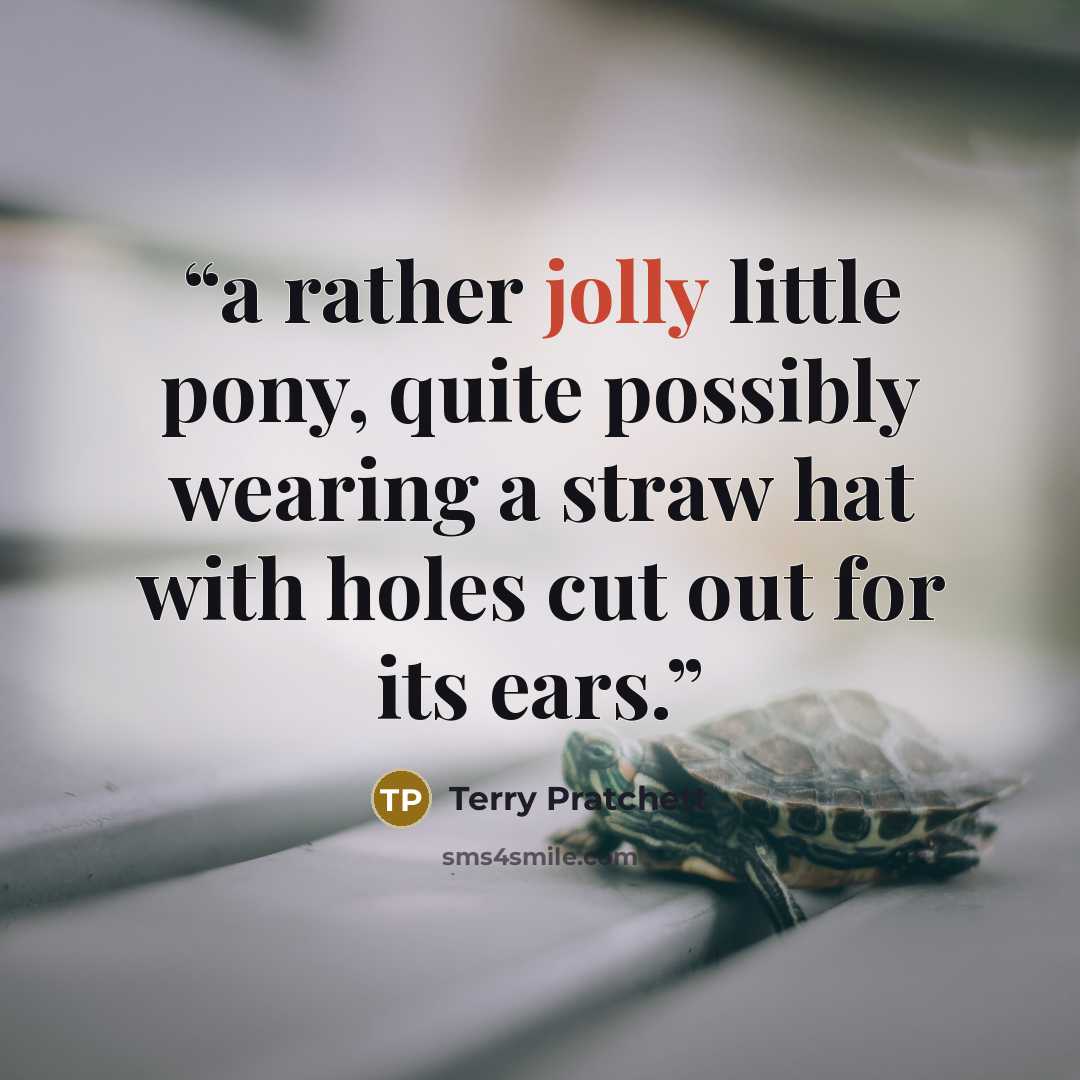 “a rather jolly little pony, quite possibly wearing a straw hat with holes cut out for its ears.” quote by Terry Pratchett
