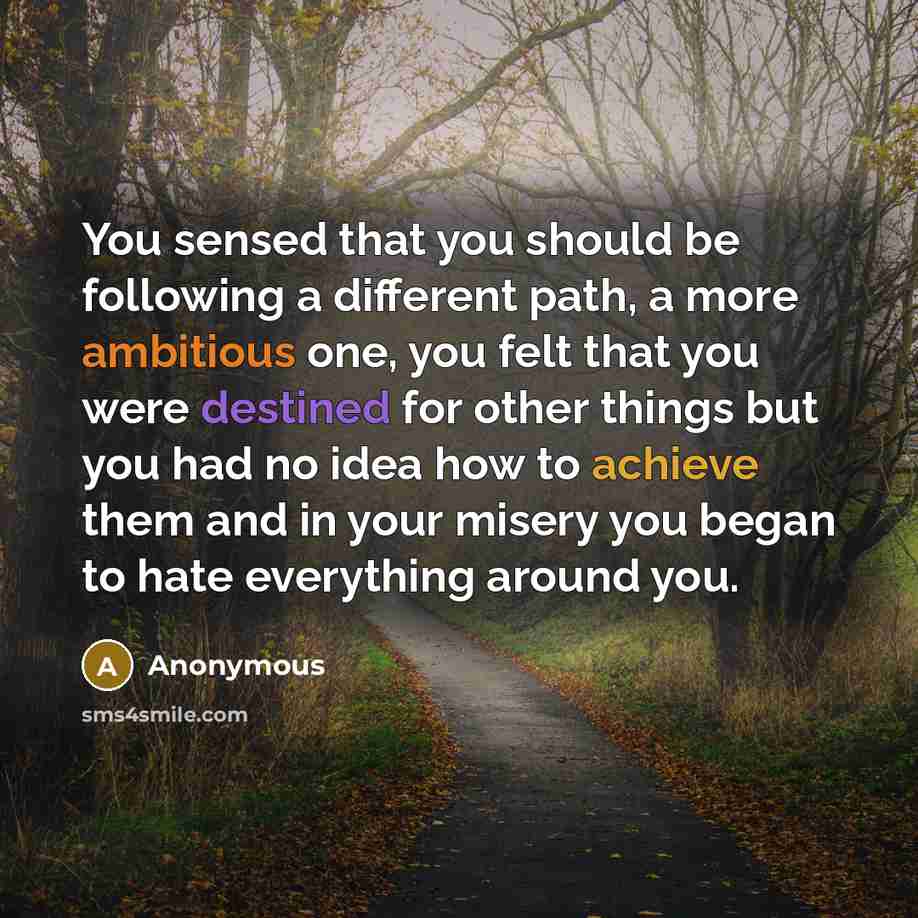 “You sensed that you should be following a different path, a more ambitious one, you felt that you were destined for other things but you had no idea how to achieve them and in your misery you began to hate everything around you.” quote by Anonymous