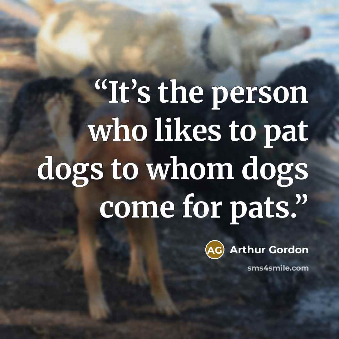 “It’s the person who likes to pat dogs to whom dogs come for pats.” quote by Arthur Gordon