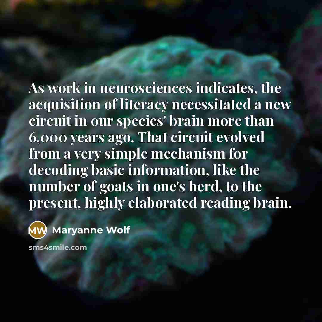 “As work in neurosciences indicates, the acquisition of literacy necessitated a new circuit in our species' brain more than 6,000 years ago. That circuit evolved from a very simple mechanism for decoding basic information, like the number of goats in one's herd, to the present, highly elaborated…” quote by Maryanne Wolf