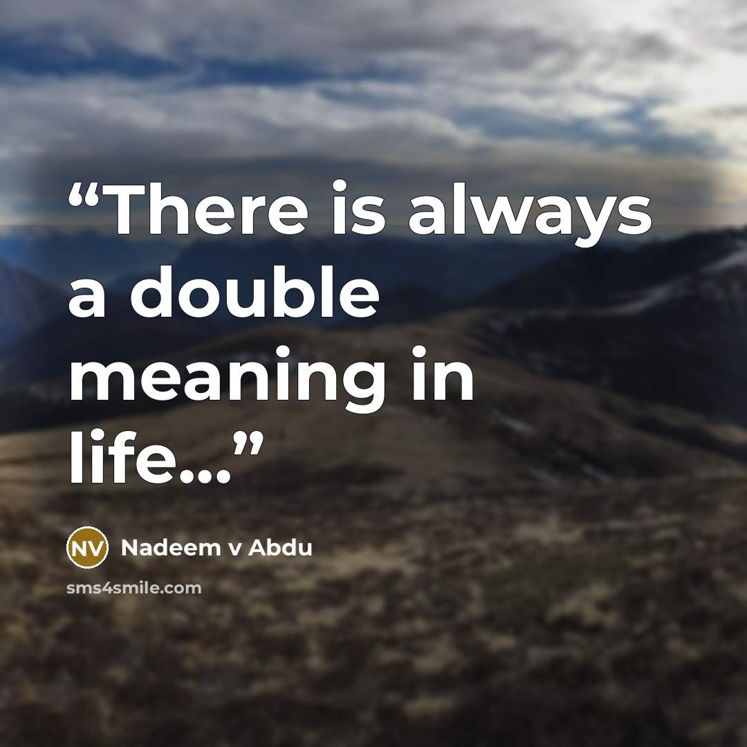 “There is always a double meaning in life...” quote by Nadeem v Abdu