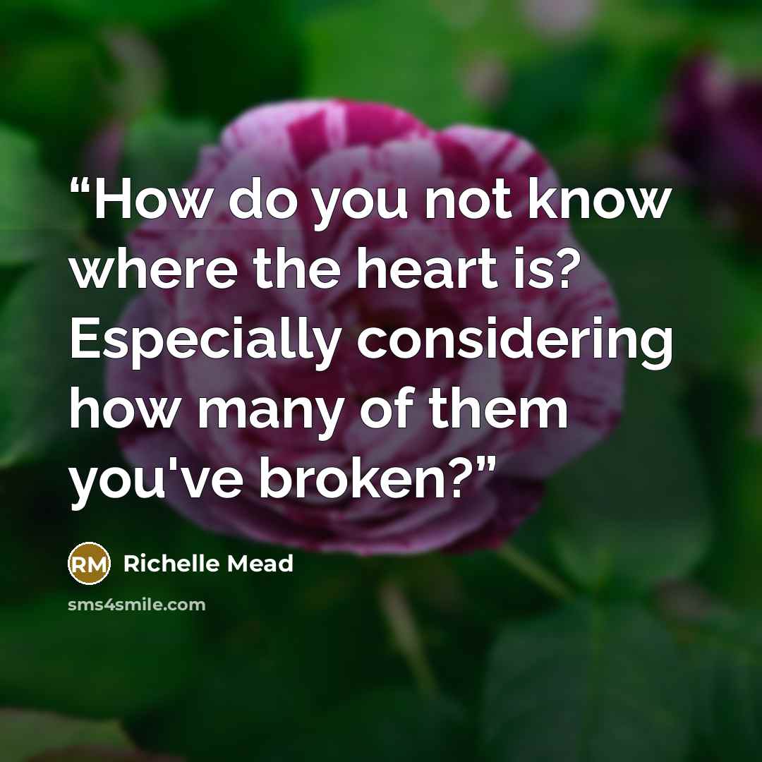 “How do you not know where the heart is? Especially considering how many of them you've broken?” quote by Richelle Mead