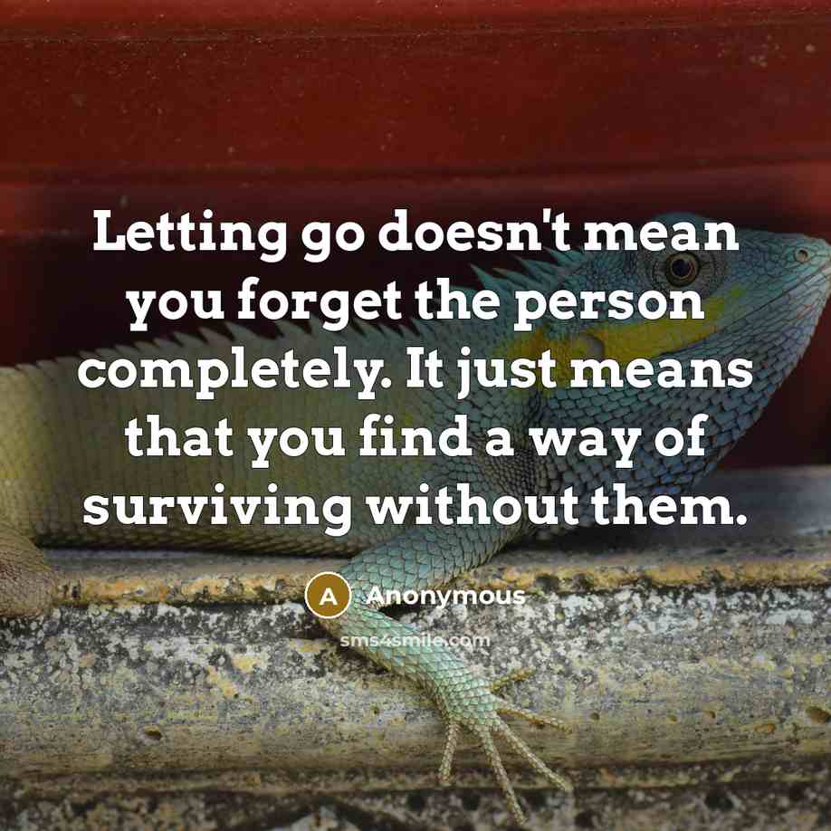 “Letting go doesn't mean you forget the person completely. It just means that you find a way of surviving without them.” quote by Anonymous