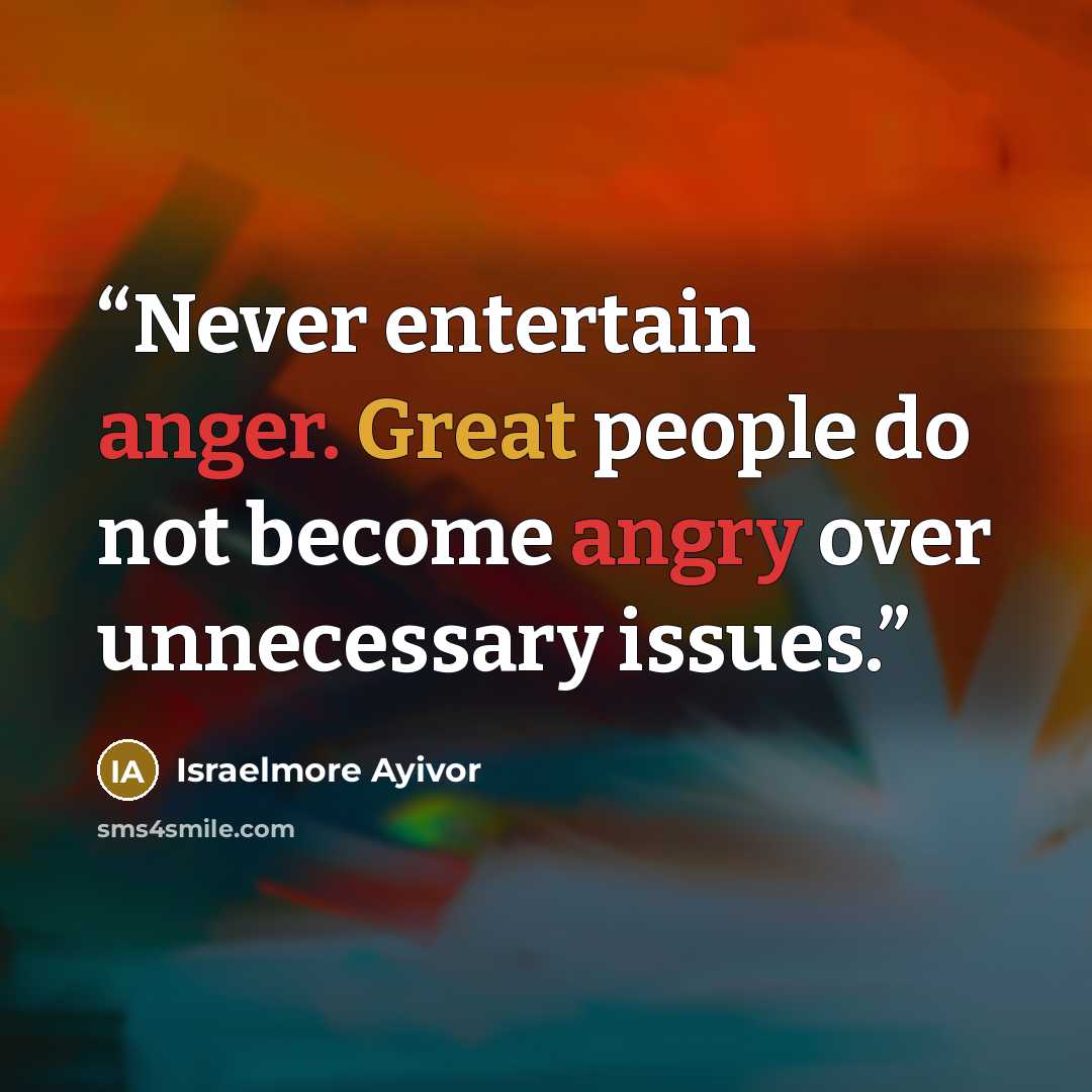 “Never entertain anger. Great people do not become angry over unnecessary issues.” quote by Israelmore Ayivor