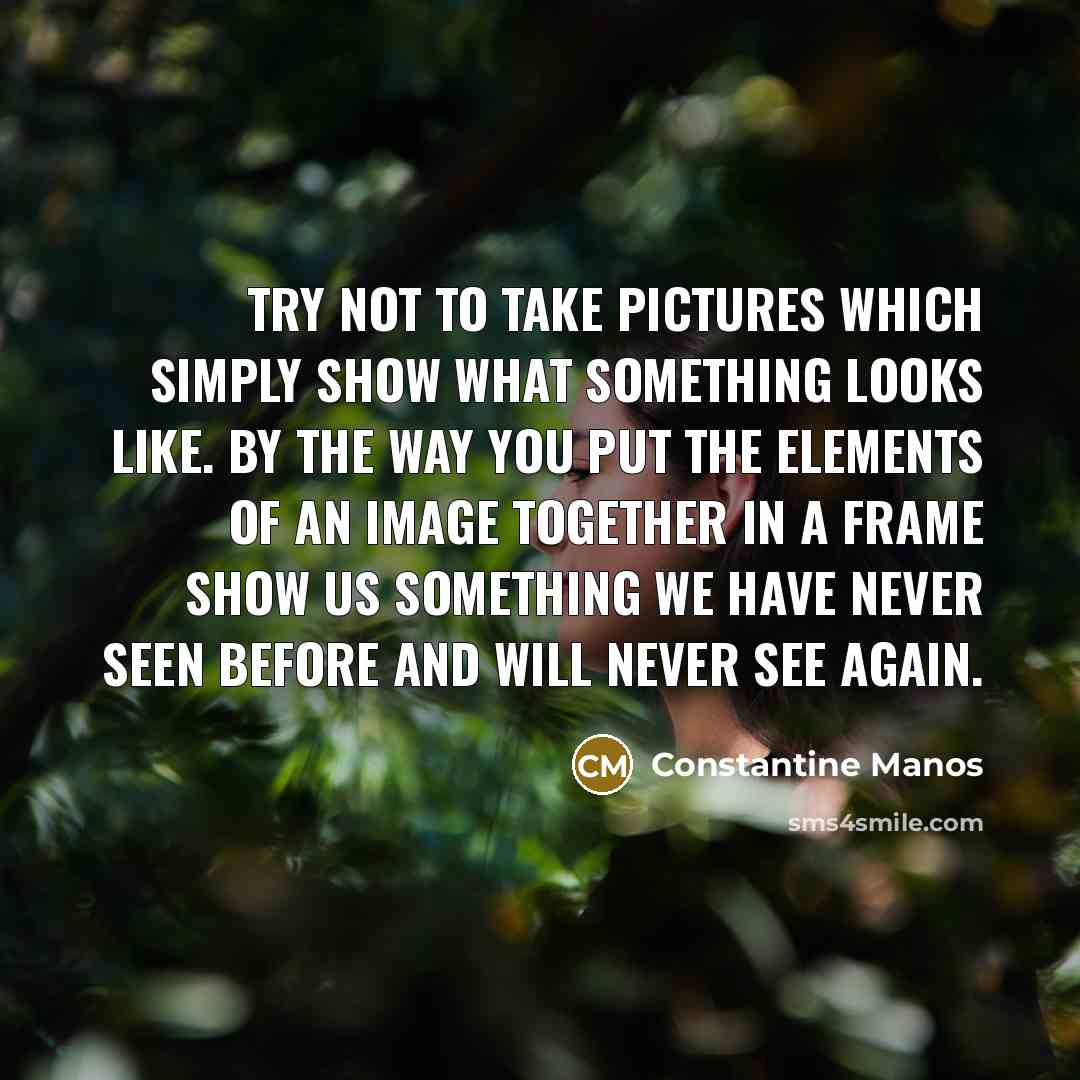 “Try not to take pictures which simply show what something looks like. By the way you put the elements of an image together in a frame show us something we have never seen before and will never see again.” quote by Constantine Manos