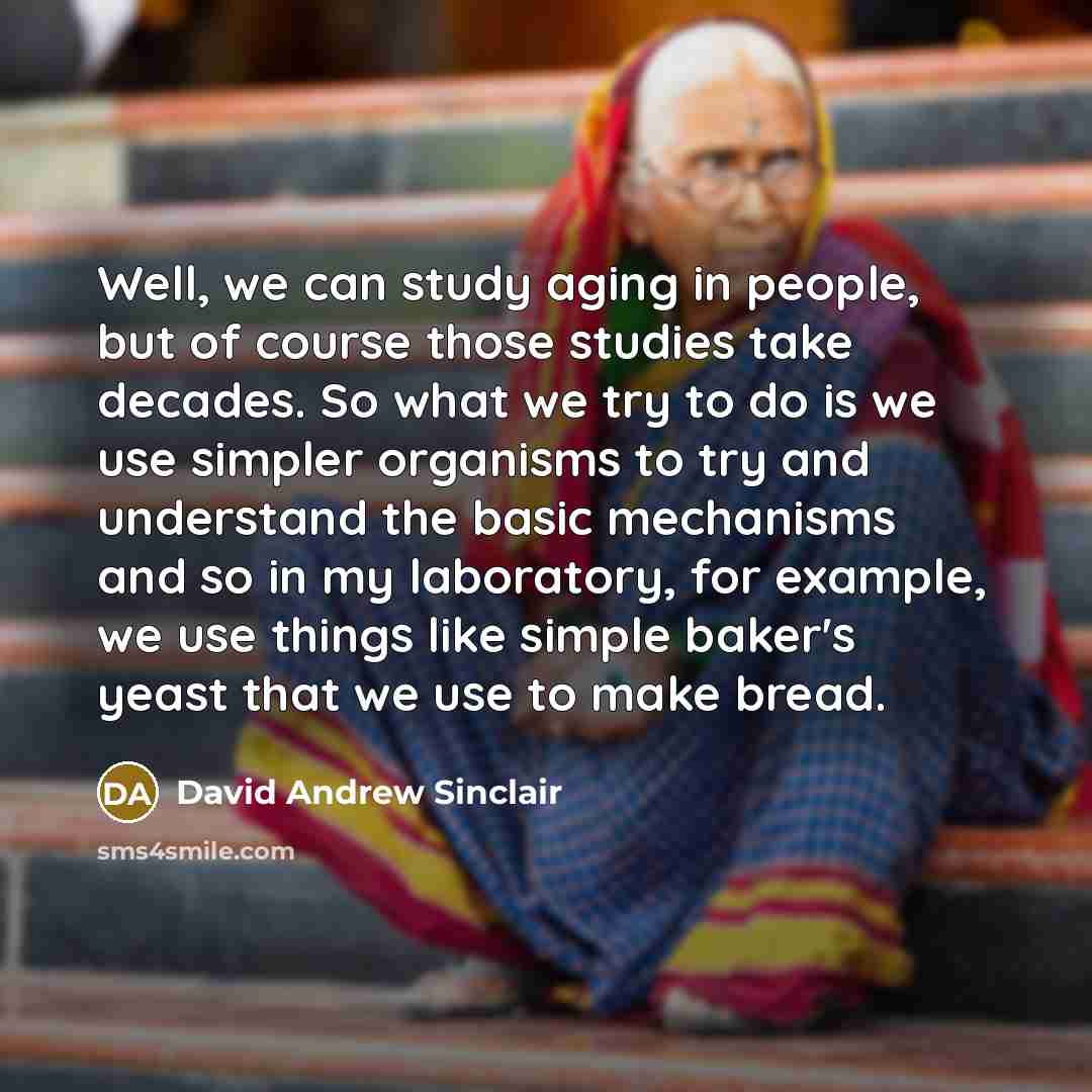 “Well, we can study aging in people, but of course those studies take decades. So what we try to do is we use simpler organisms to try and understand the basic mechanisms and so in my laboratory, for example, we use things like simple baker's yeast that we use to make bread.” quote by David Andrew Sinclair