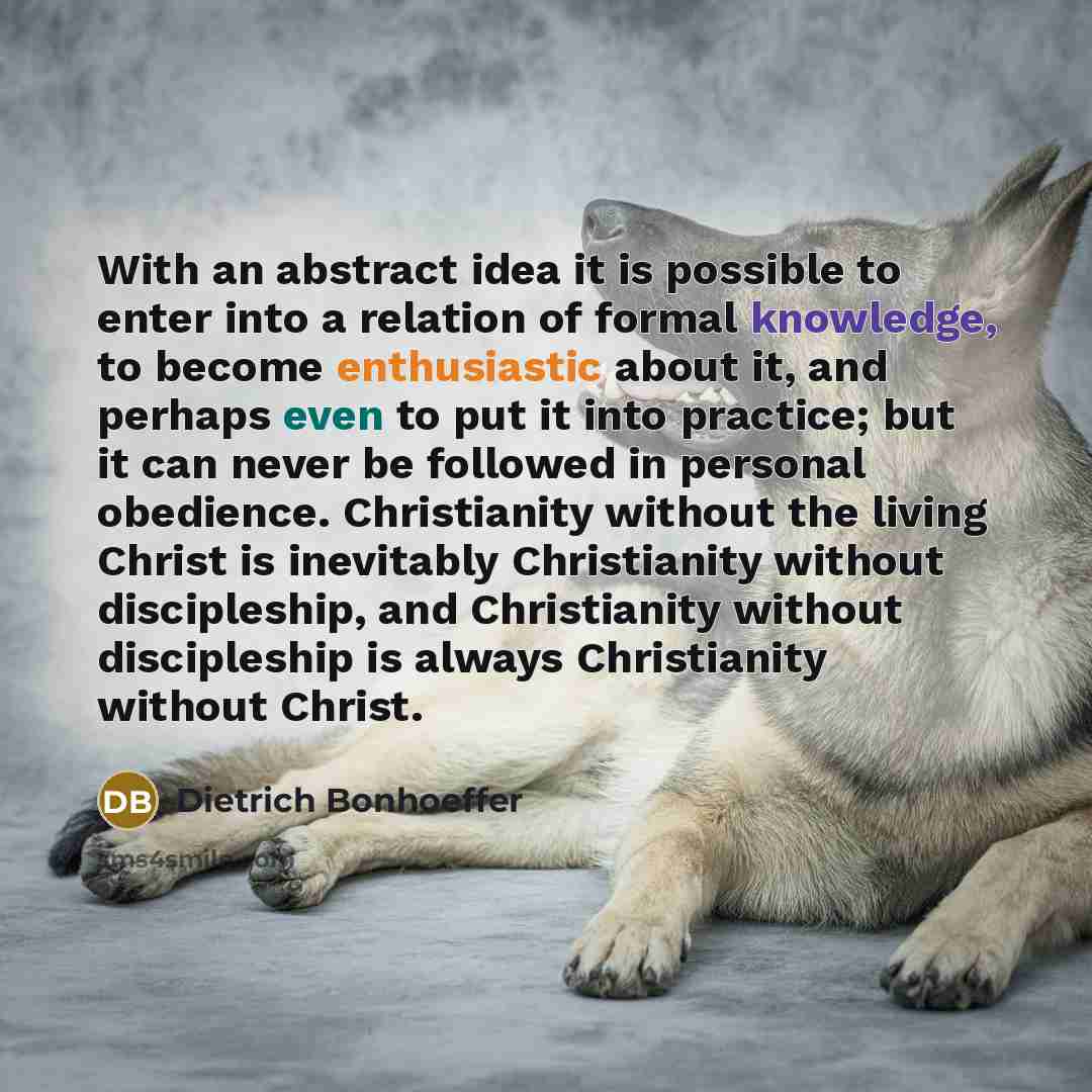 “With an abstract idea it is possible to enter into a relation of formal knowledge, to become enthusiastic about it, and perhaps even to put it into practice; but it can never be followed in personal obedience. Christianity without the living Christ is inevitably Christianity without discipleship…” quote by Dietrich Bonhoeffer