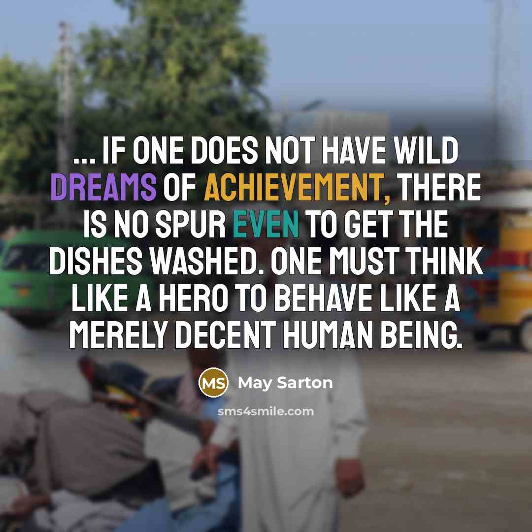 “... if one does not have wild dreams of achievement, there is no spur even to get the dishes washed. One must think like a hero to behave like a merely decent human being.” quote by May Sarton