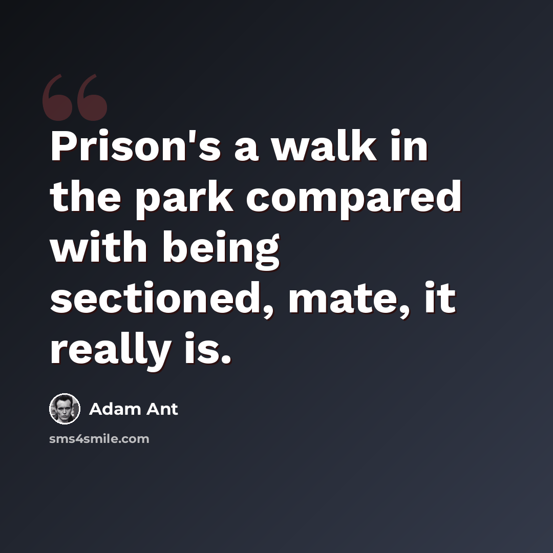 “Prison's a walk in the park compared with being sectioned, mate, it really is.” quote by Adam Ant